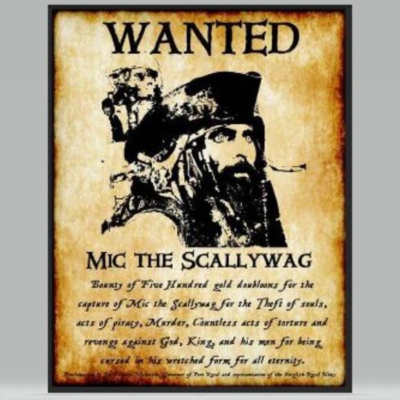 🆕 GILDAN G640 "SOFT STYLE" CUSTOM TEE - Pirate Wanted Poster - Picture 2 of 5